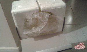 20150416_020433